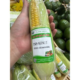 Ngô Ngọt Sạch Lâm Thao – Hạt Vàng Tươi Mọng, Vị Ngọt Tự Nhiên – Nông Sản VietGAP An Toàn