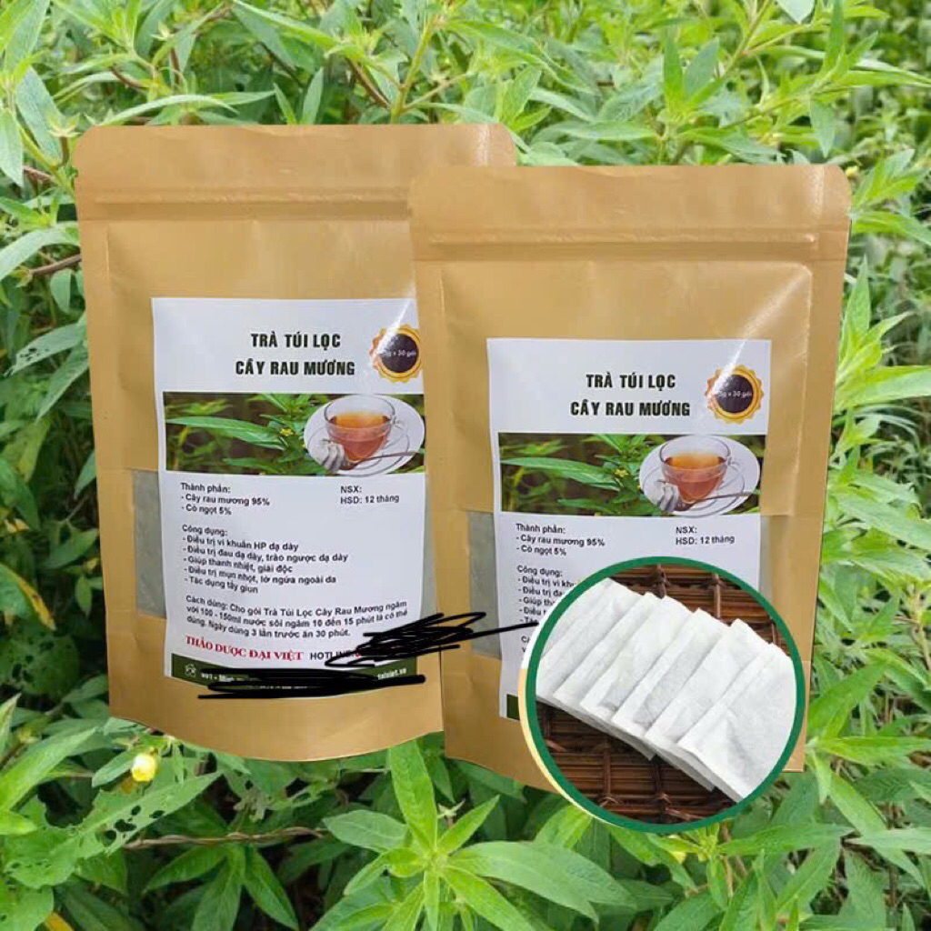 Trà túi lọc Cây rau mương 60 gói x 3gram tốt cho người HP dạ dày binhdangkhoa