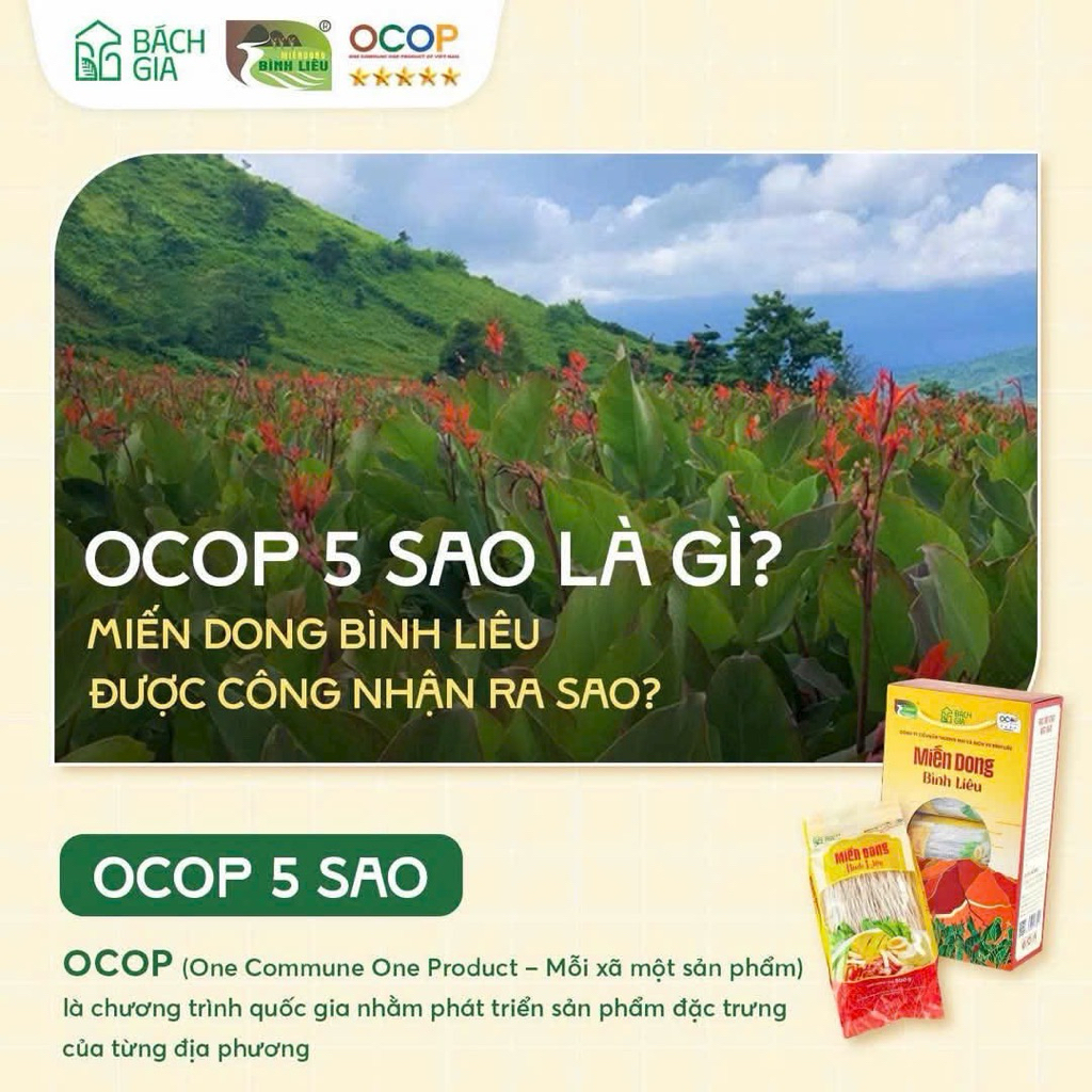 Miến dong bình liêu gói 500g bao bì mới
