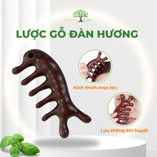 Combo 3 Lược gỗ Đàn Hương