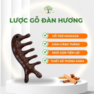 Combo 3 Lược gỗ Đàn Hương