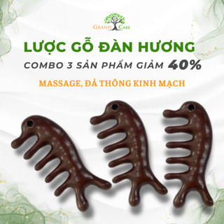Combo 3 Lược gỗ Đàn Hương