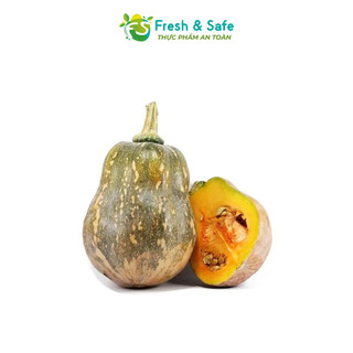[Chỉ Giao HCM] Bí Đỏ Hồ Lô