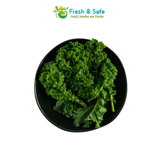 [Chỉ Giao HCM] Cải Xoăn Kale