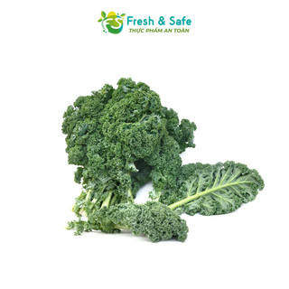 [Chỉ Giao HCM] Cải Xoăn Kale