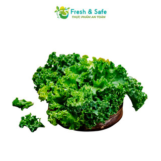[Chỉ Giao HCM] Cải Xoăn Kale