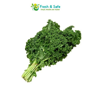 [Chỉ Giao HCM] Cải Xoăn Kale