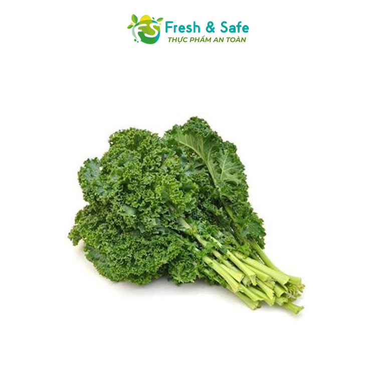 [Chỉ Giao HCM] Cải Xoăn Kale