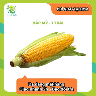 [CHỈ GIAO HCM] Bắp Mỹ - 1 trái - 5 trái