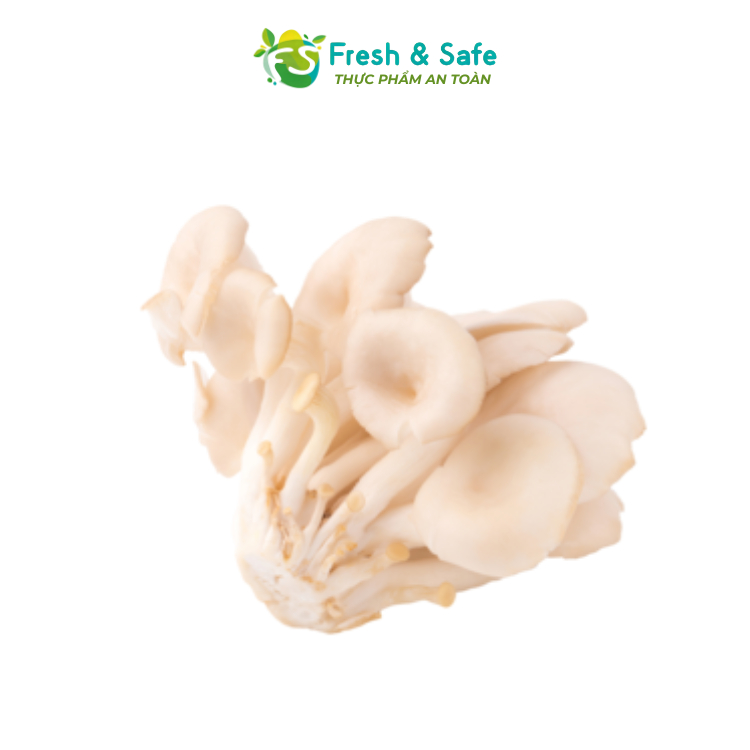 [Chỉ Giao HCM] Nấm Bào Ngư Trắng- 250g
