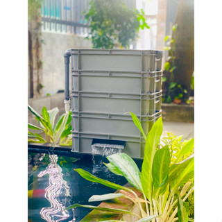  Baki Lọc Thùng Máng Chảy Ống Chảy Cho Hồ Cá Cảnh Hồ Kính Cá Coi Kích Thước 45x27x12 