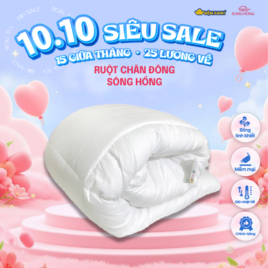 Ruột Chăn Đông Sông Hồng phân phối chính hãng tại Đệm Xanh