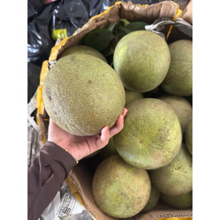 Bưởi Da Xanh Bến Tre (Hàng Ăn Không Cành)
