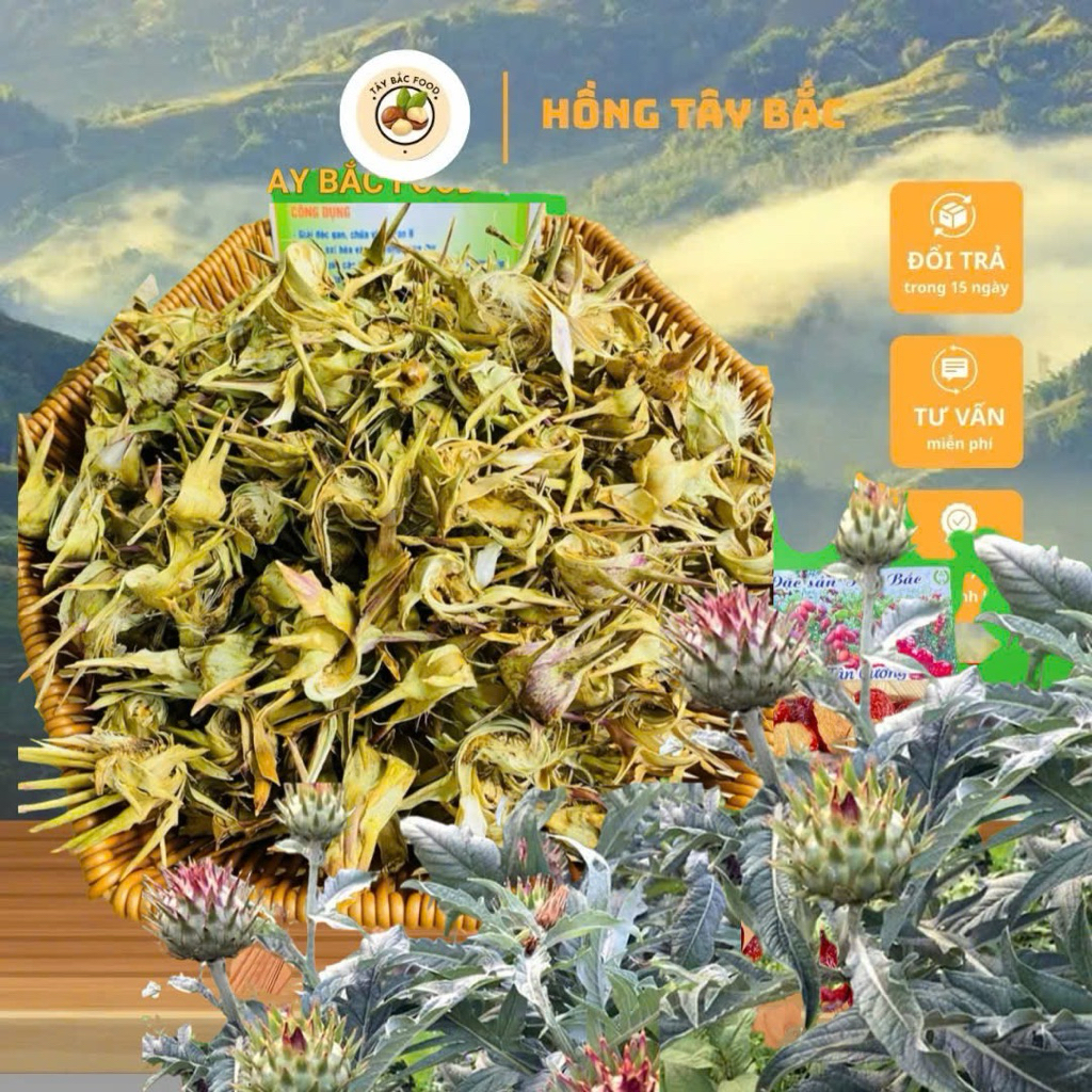 Hoa Atiso Sapa Sấy Khô , Sấy Thơm Chuẩn