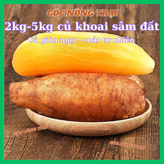  Khoai sâm đất  2kg - 5kg  đặc sản Y Tý Lào Cai khoai ngọt thanh mát nhiều nước. 