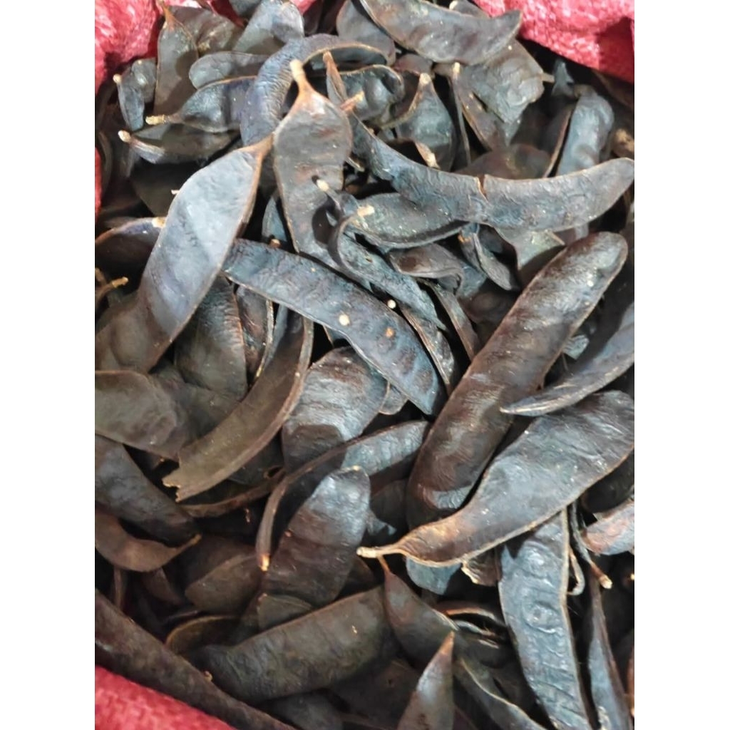 BỒ KẾT KHÔ 100  gam ( Bồ Kết Lép Xông Nhà )