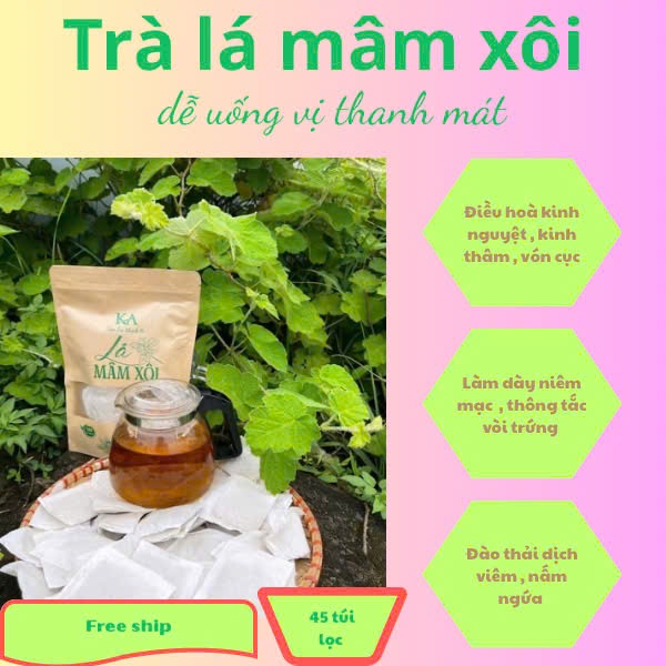 Trà Lá Mâm Xôi  [ Gói 45Túi Lọc ] Thanh Mát , Tốt Cho Sức Khoẻ , Làm Đẹp Niêm Mạc thả bầu tự nhiên I.V.F, I.U.I
