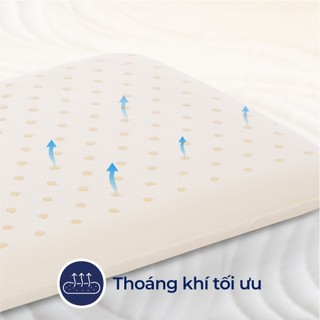 Gối nằm cao su em bé Oval Liên Á Em ái, mềm mại-Nhiều kích thước