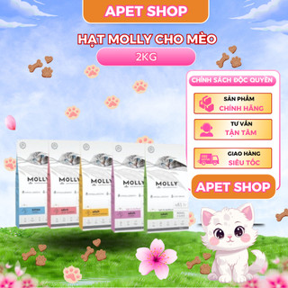 Thức Ăn Hạt Cho Mèo Molly 2kg KITTEN INDOOR HAIRBALL RENAL SHINNY Thổ Nhĩ Kì APET VIỆT NAM 