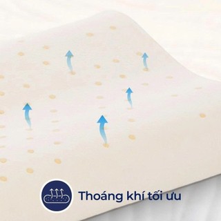 Gối nằm cao su thiên nhiên em bé Contour Liên Á 22x40x5cm