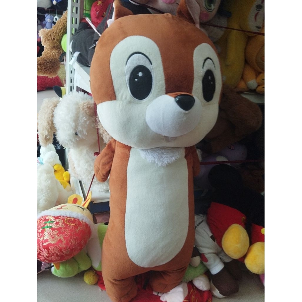 Gấu bông sóc size 65-70cm