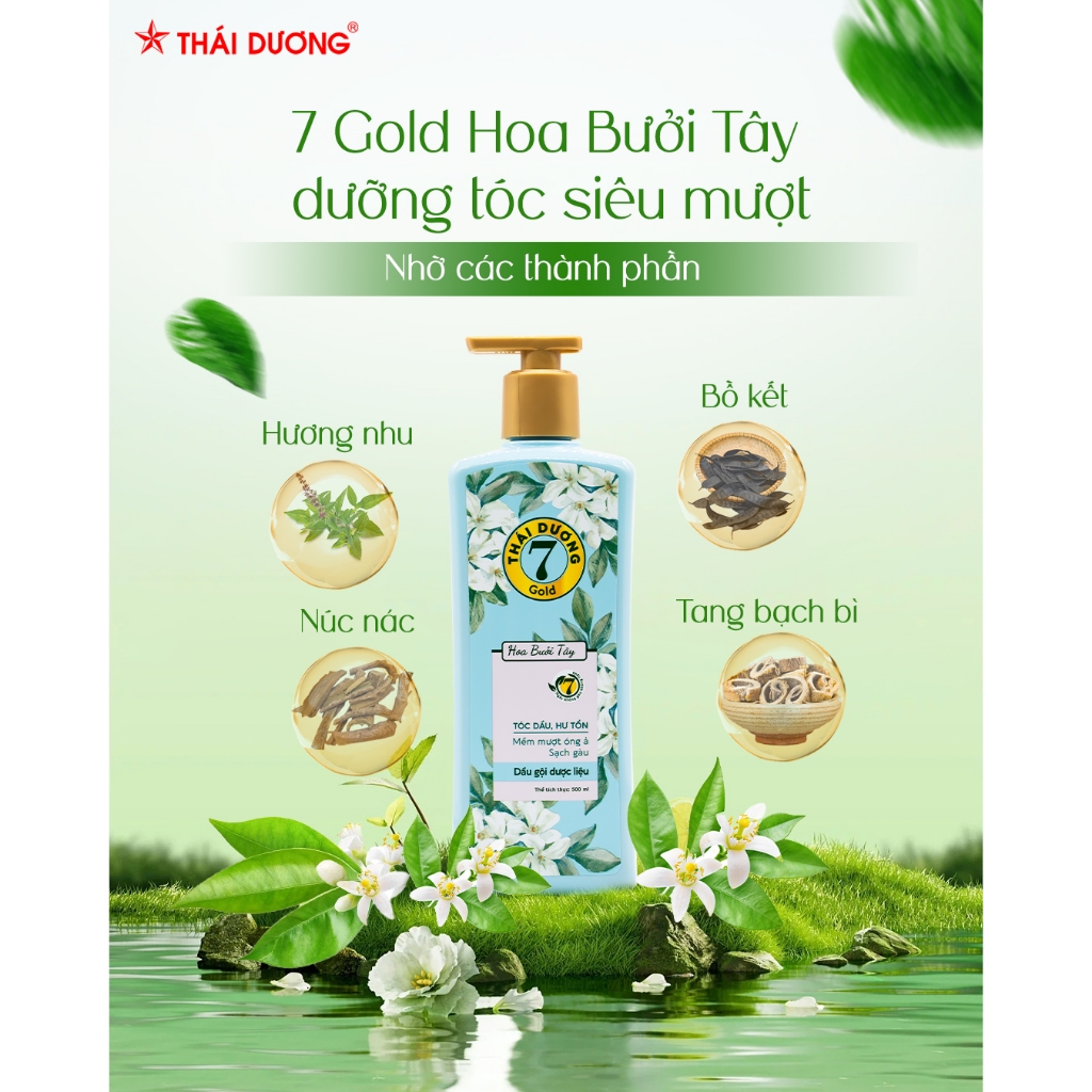 [Live Combo] Mua Dầu gội Thái Dương 7 Gold Hoa Bưởi Tây 500ml Kèm quà tặng | BigBuy360 - bigbuy360.vn
