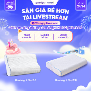 Gối Foam Goodnight Nori Gối Công Thái Học 30*60cm Lượn Sóng Nâng Đỡ, Vua Nệm, gối memory foam