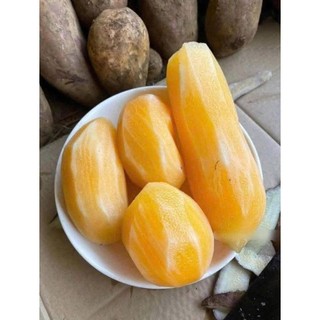  Combo 5kg Khoai Sâm Đất Y Tý 