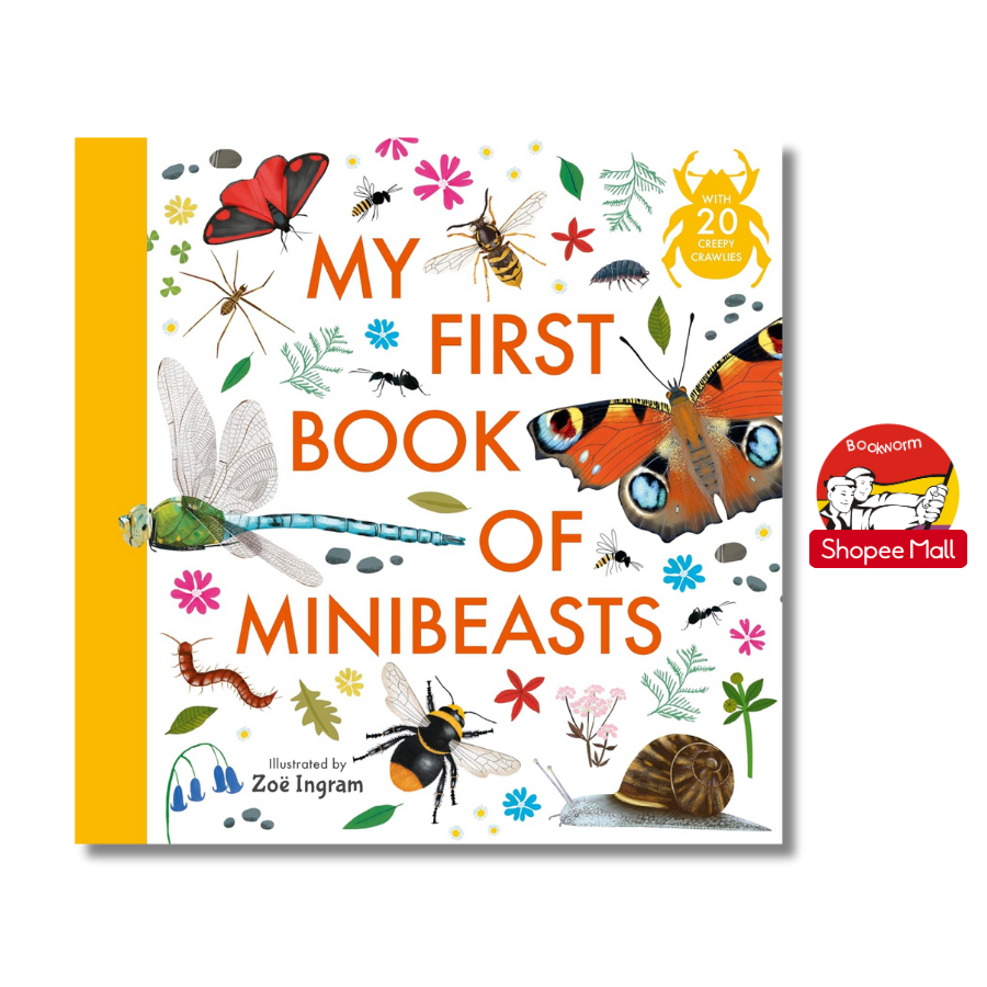 Sách - My First Book of Minibeasts by Zoe Ingram | Children's Picture Book - Nature Science Book