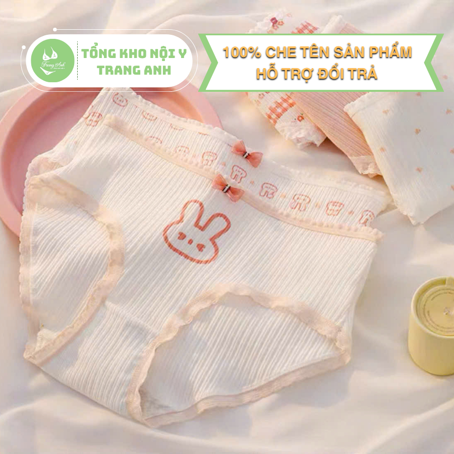 Combo 10 Quần Chip Cho Bé Gái Thun Tăm Mềm Mịn Thoáng Khí Viền Ren Không Ngứa Thỏ Hồng 25-62kg CTB06