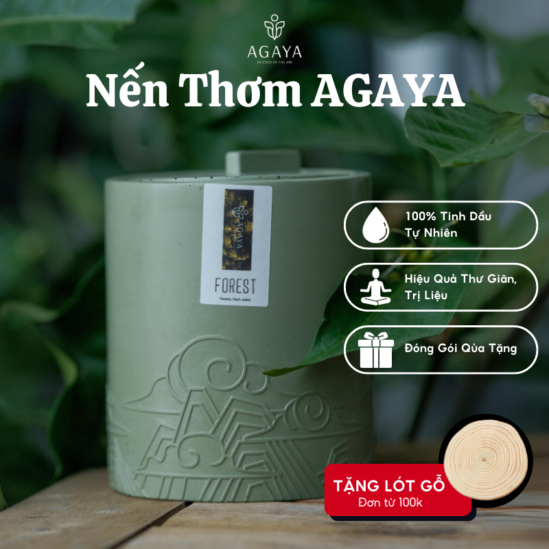 Nến Thơm AGAYA Quà Tặng Nến Thơm Sinh Nhật Nến Thơm Tặng Thư Giãn Dễ Ngủ Chất Liệu Ép Kim Sang Trọng