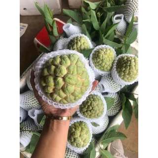 1Kg Xốp Bọc Trái Cây ( ổi, dưa lưới, na, thanh long, xoài, bưởi, dừa...)