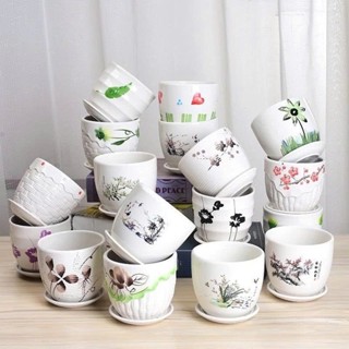 Chậu sứ trồng cây để bàn 11cmx10,5cm, chậu gốm sứ cao cấp trồng cây thông dụng