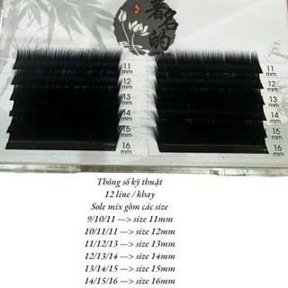 MI DOUYIN XÉO SOLE TRUNG HOA, MI DOUYIN TRUNG HOA (Chia form heo từng bên mắt), độ cong LB,LC,LJ,B,C