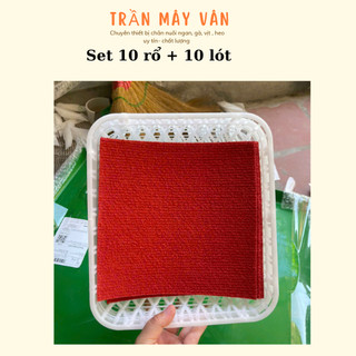 Set 10 rổ đẻ + lót ổ cho chim bồ câu đây đủ kích thước 20x20cm và 23x26cm