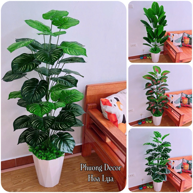 Cây giả decor,Cây trầu bà, cây vạn niên thanh, cây dừa nhân tạo decor cao 1m4