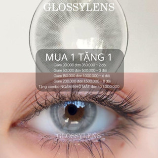 MUA 1 TẶNG 1 - Kính áp tròng AV GRAY Lens 3 tháng - Áp tròng