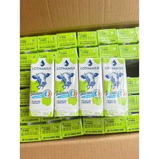  Hsd:7 2026Thùng 48 hộp sữa tươi tiệt trùng Lothamilk có đường 180ml 