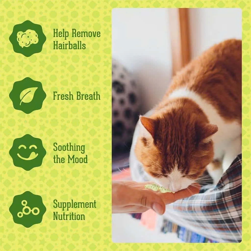 [COMBO 12- 9-6-3] Bánh Cá Match Well Gói 40g, Bánh Cá Catnip Cho Mèo Sạch Răng Thơm Miệng