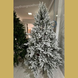   Mẫu mới 2025  Cây thông full PE phủ tuyết 1m8 Cây thông FULL PE Phủ tuyết cao 1m8 2m1 trang trí giáng sinh 