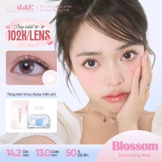 Kính áp tròng DABAE lens mắt màu hoa anh đào 3 tháng DIA 14.2mm có độ cận 0-8 PEACH BLOSSOM