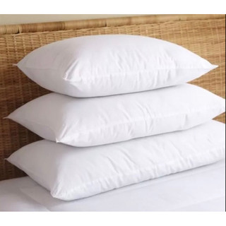 Gối ép hơi cao cấp giặc được , có khoá kéo ( nằm 40 x 60, 50 x 70; ôm 35 x 100 )