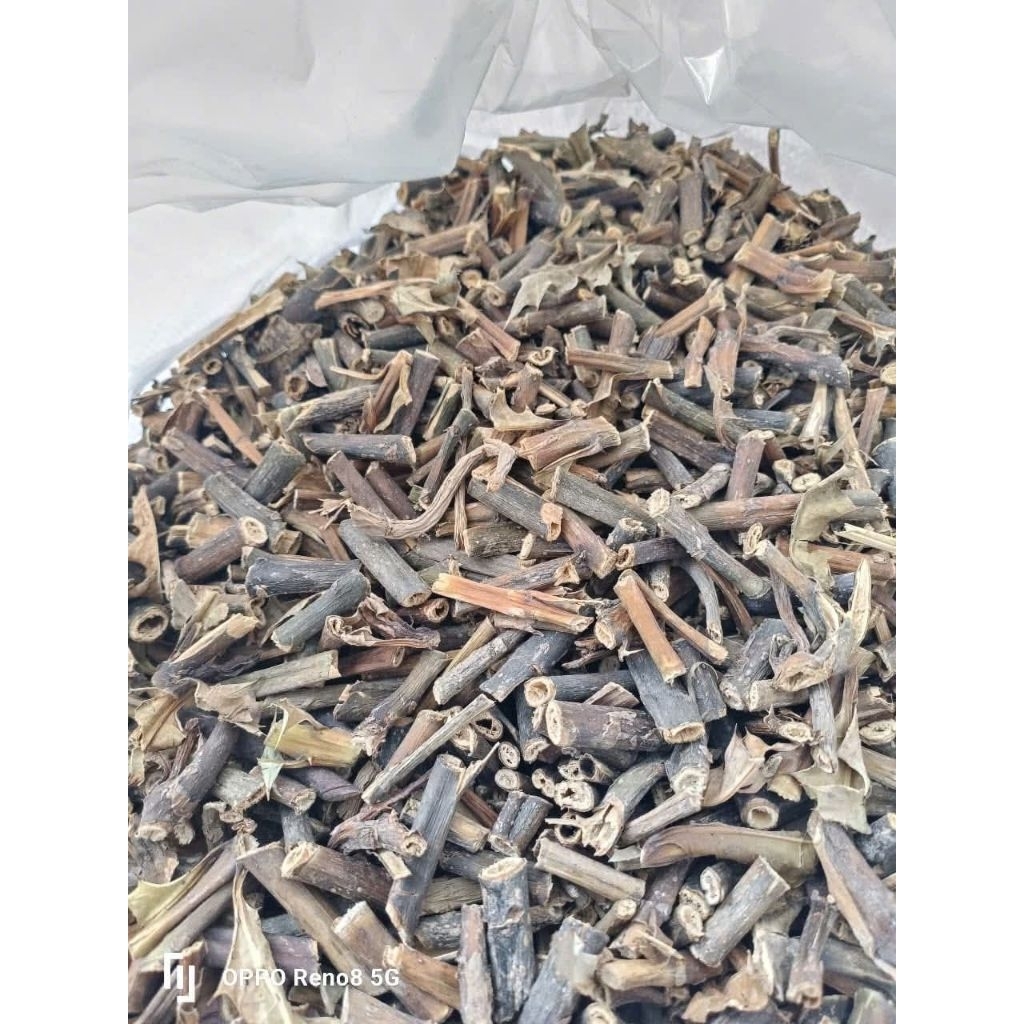 01kg cây ô rô khô mới nhà làm