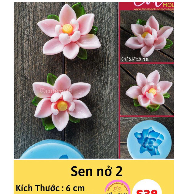 Khuôn silicon đổ rau câu, ép đậu Sen nở 2 S38