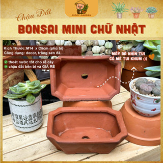 Chậu đất nung - Chậu trồng sen đá xương rồng - Chậu trồng cây - Chậu cây Bonsai mini chữ nhật 