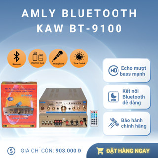 Amply Bluetooth BT-9100 – Âm Thanh Chất Lượng Cao, Bass Mạnh, Echo Cực Hay - Bảo hành chính hãng