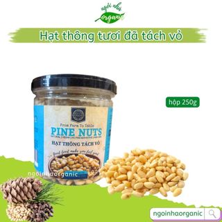 Hạt thông tươi tách vỏ Mỹ - Premium Raw PINE NUTS KERNEL