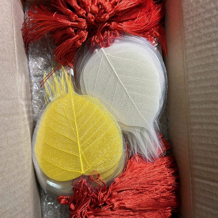 [set 3 lá]Lá bồ đề ép sẵn viết thư pháp