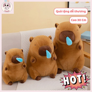 Gấu Bông Chuột Lang Nước Capybara Mềm Mịn 30cm – Thú Nhồi Bông Dễ Thương, Gối Ôm Siêu Mềm - MSP69