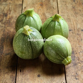 10 Hạt - Hạt Giống Bí Ngòi Tròn Phương Nam